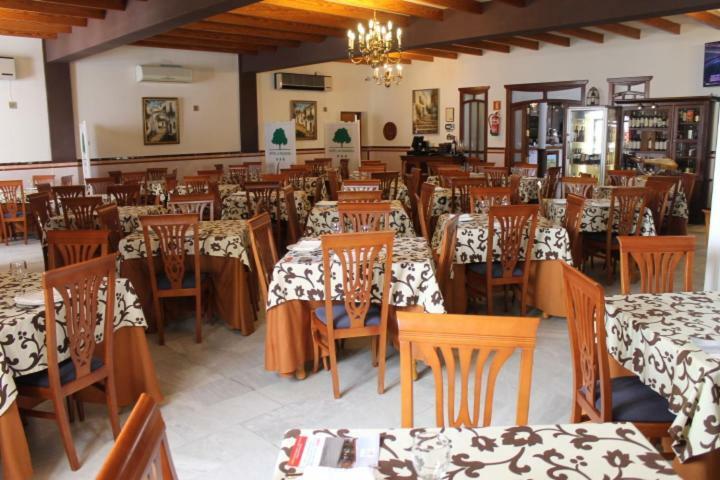 Hotel La Palmosa Alcalá de los Gazules Exterior foto